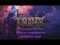 Trine | Mit vereinter Kraft durch die Märchenwelt | Koop | Full Playthrough