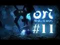 Ori and the Will of the Wisps #11- Operatie Ku