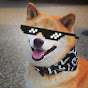 BattleDoge