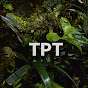 Technically Planted Tanks