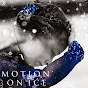 Motion On Ice