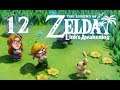 Beautiful Propellor Butt | The Legend of Zelda: Link's Awakening (Part 12) - Super Hopped-Up
