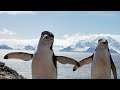 La Antártida: el continente de la paz y los récords | Ahora qué leo