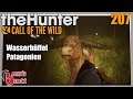 The Hunter Call of the Wild ★ Mit dem Nachtsicht-Zielfernrohr auf Wasserbüffel [207]