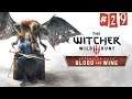 The Witcher 3 DLC Blood and Wine [#29] - Тасхам Мутна