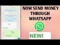 WhatsApp New Update || How To Send Money Through Whatsapp Pay!