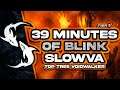 39 Minutes of Blink Slowvabomb(Top Tree Voidwalker)