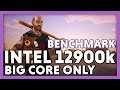 Just big cores? | Intel i9 12900k Big Core Only Benchmark