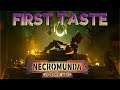 Leopard Print & Mohawks! – Necromunda: Underhive Wars – First Taste