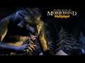 Morrowind Multiplayer | RP Veridian | LIVE STREAM