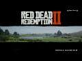 Red Dead Redemption 2 (Xbox Series S) - Gameplay