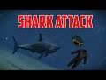 Rust -  When A Shark Attacks