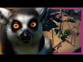 🦁 Walkthrough Lemur Habitat | Fixing Goodwin | Planet Zoo Beta