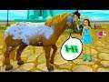 A Talking Pony !!! Mayor Peanut Can Talk in Star Stable Online Horse Quest Video Game