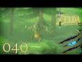The Legend of Zelda: Breath of the Wild #040 - Donner-Echsalfos Ω Let's Play