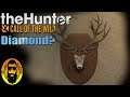 The Search for Big Red! Diamond Red Deer Hunt in the Hunter Call of the Wild 2020
