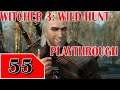 The Witcher 3: The Wild Hunt - Blood and Bones Playthrough Part 55 - Terahdra Twitch