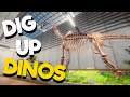 Dinosaur Fossil Hunter - Paleontology Dig Fossil Gathering Sim!