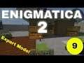 Enigmatica 2 Expert Mode E09 - Mekanism Power and XNet Unlock