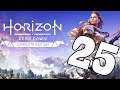 HORIZON ZERO DAWN: COMPLETE EDITION PS4. # 25 !