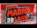 If I touch something RED, the video ends - Super Mario 3D Land
