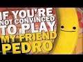 If You're Not Convinced To Play My Friend Pedro