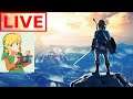 |The Legend of Zelda Breath of The Wild | MASTER MODE | Road to 645 |