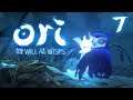 Do you like Herb Pouches? - [Ep 7] Lets Play Ori and the Will of the Wisps Gameplay