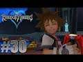 Kingdom Hearts [Blind] #30 - "WHAT IS GOING ON?!"