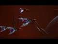 PVP 2020: Eldar Craftworlders vs Orks! - 1v1 Multiplayer Gameplay, Battlefleet Gothic Armada 2