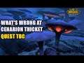 What's Wrong at Cenarion Thicket Quest TBC
