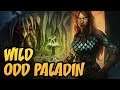 Wild Odd Paladin | Rise of Shadows | Hearthstone