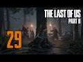 29 ✧ Chiodo Fisso ┋The Last of Us: Parte II┋ Sopravvissuto - Gameplay ITA ◖PS4 Pro◗