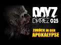 DAYZ DIARIEZ - Zurück in der Apokalypse 🎮 Let´s Play DayZ Playstation 4 Pro Deutsch