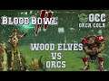 Blood Bowl 2 - Wood Elves (the Sage) vs Orcs (AndyDavo) - OCC G6
