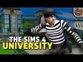 LalauBear entra na universidade (ele vai roubar tudo?) | The Sims 4 - Gameplay PT-BR