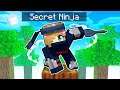 PLAYING as a SECRET NINJA in Minecraft