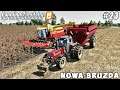 Harvesting corn and sunflower | Nowa Bruzda | Farming simulator 19 | Timelapse #23