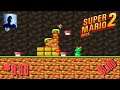 Lets Play Super Mario Bros.2 Vol.8 [Blind] (German)