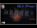 Life Is Strange 2 #12 Auf dem Weg zu den Großeltern [Deutsch german Gameplay]