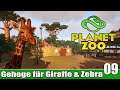 Planet Zoo: Giraffen + Zebra Gehege mit Besucherplattform |09| Franchise Modus | Lets Play Deutsch