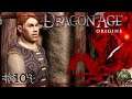 LA COLECCIÓN PRIVADA | Dragon Age Origins #107