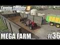 MEGA FARM Challenge | Timelapse #36 | Farming Simulator 19