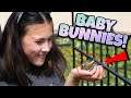 OUR CUTEST VIDEO EVER!!! We Found Baby Bunnies in Our Garden!