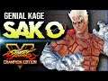 Sako (Kage) genial! ➤ Street Fighter V Champion Edition • SFV CE
