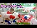 クレーンゲームは攻略使って全部取ったらいくらかかるの!?UFOキャッチャー 家族Vlog