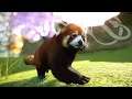 WELCOME TO PANDA PARADISE ! WE HAVE RED PANDAS !! | PLANET ZOO [EP1]