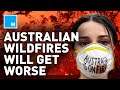 Why Australia's Wildfires Will Get WORSE | Mashable Explains