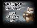 #3 Project Zomboid Build 41 - Live Stream
