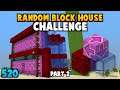 Building A House From 5 Randomised Blocks... (520)
